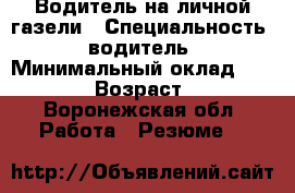 Водитель на личной газели › Специальность ­ водитель › Минимальный оклад ­ 30 000 › Возраст ­ 39 - Воронежская обл. Работа » Резюме   